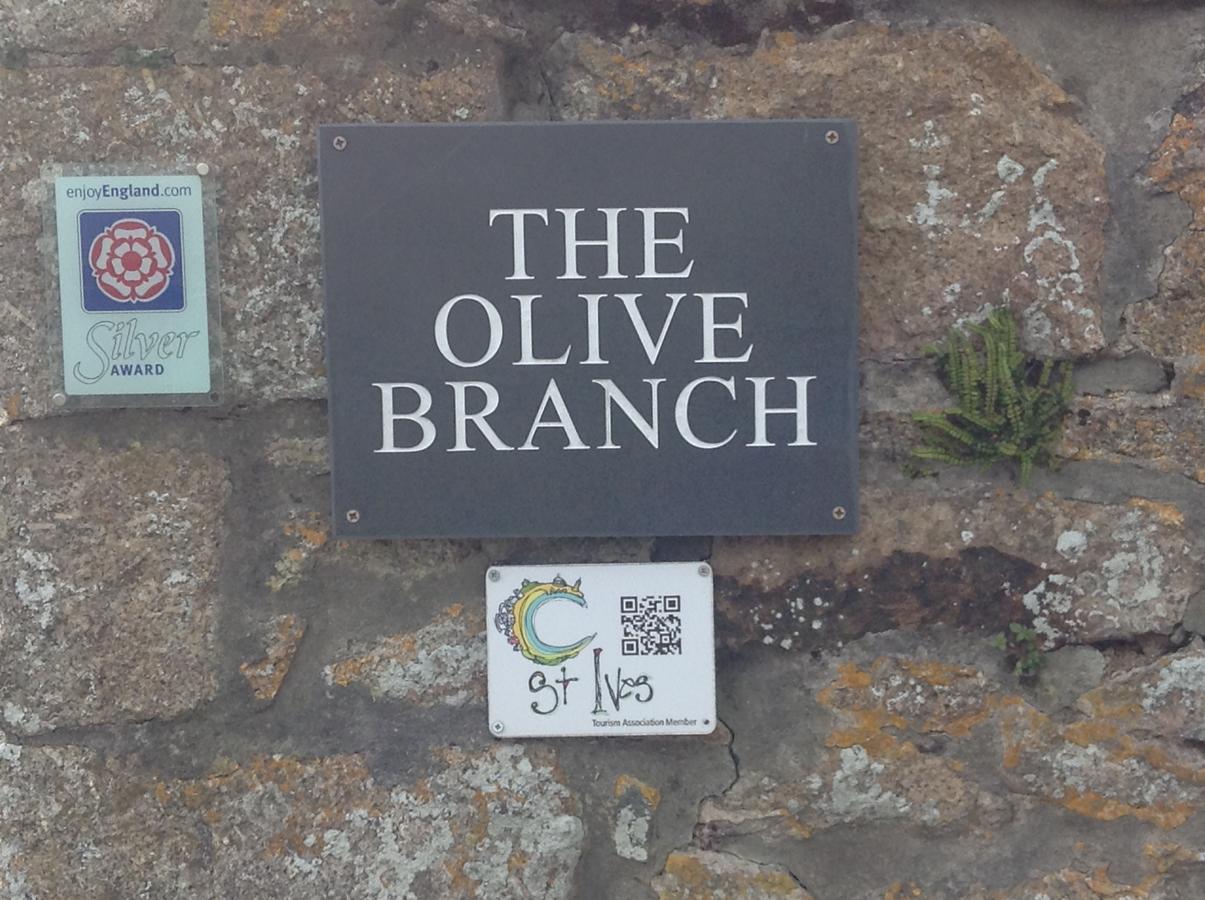 The Olive Branch Bed & Breakfast เซนต์ไอฟส์ ภายนอก รูปภาพ